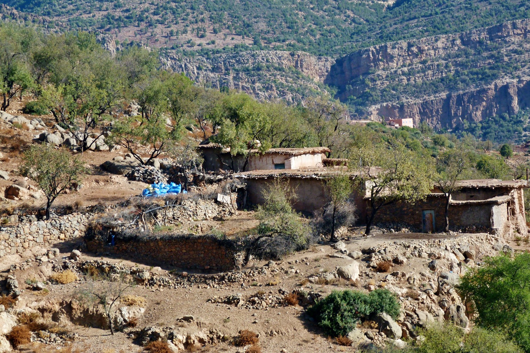 Route vers Imouzzer, habitation bèrbère (les sacs bleus contiennent la récolte de noix d'argan)